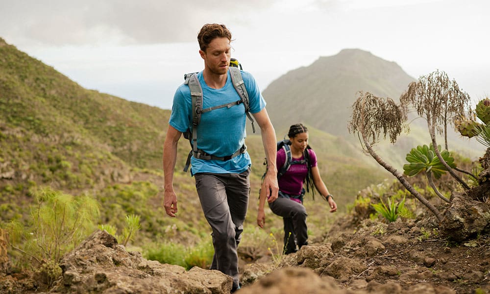 Introducing Be More Merino