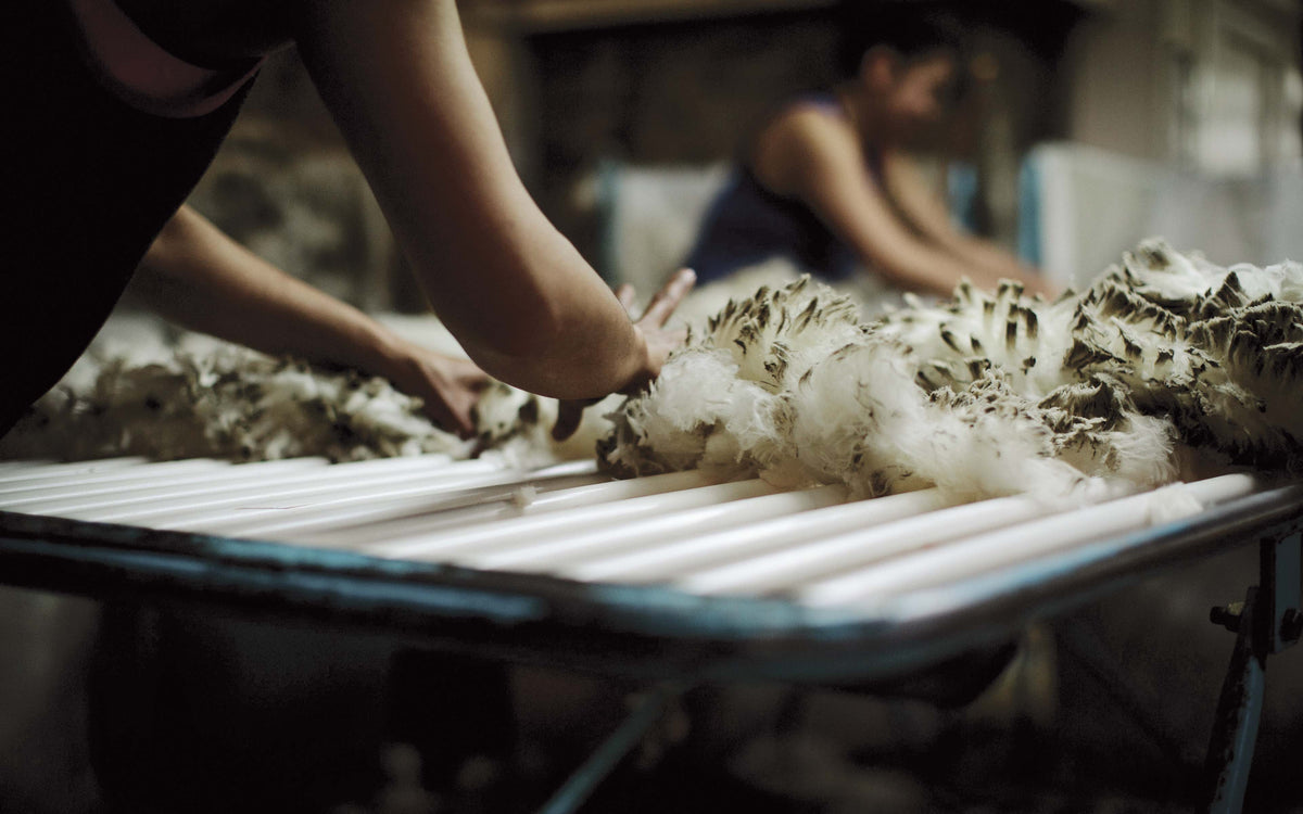 Why is merino wool good to wear?