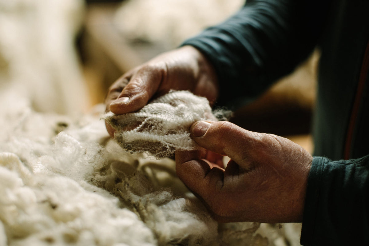 What is merino wool