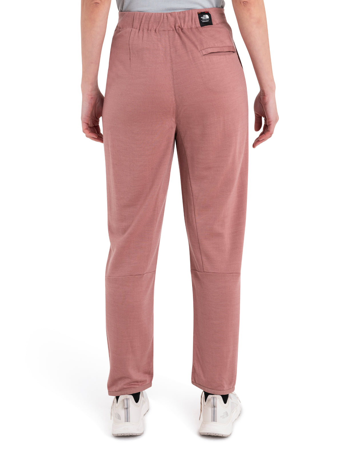 Dam The North Face x icebreaker byxor i merinoblandning  - 2