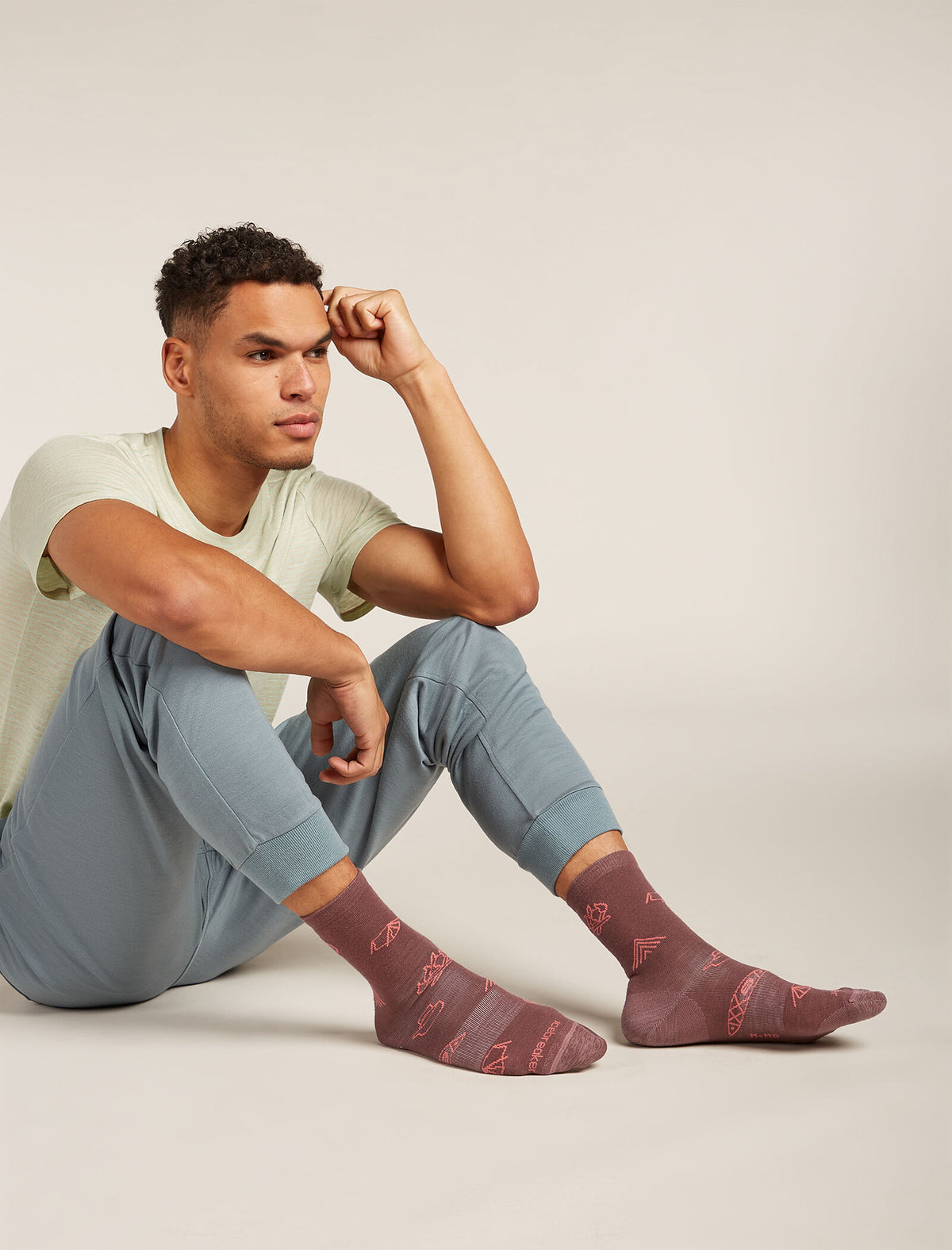 Men's Merino Lifestyle Ultralight Crew Socks Camp Essentials Carob/plume - 2