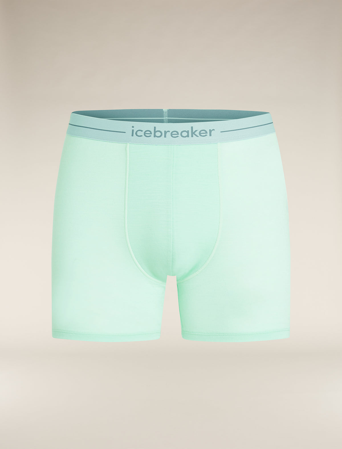 Men's Merino 150 Anatomica Boxers Mint - 7