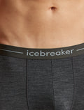icebreaker® Boxeur long Anatomica Men's Jet Heather Men - 4
