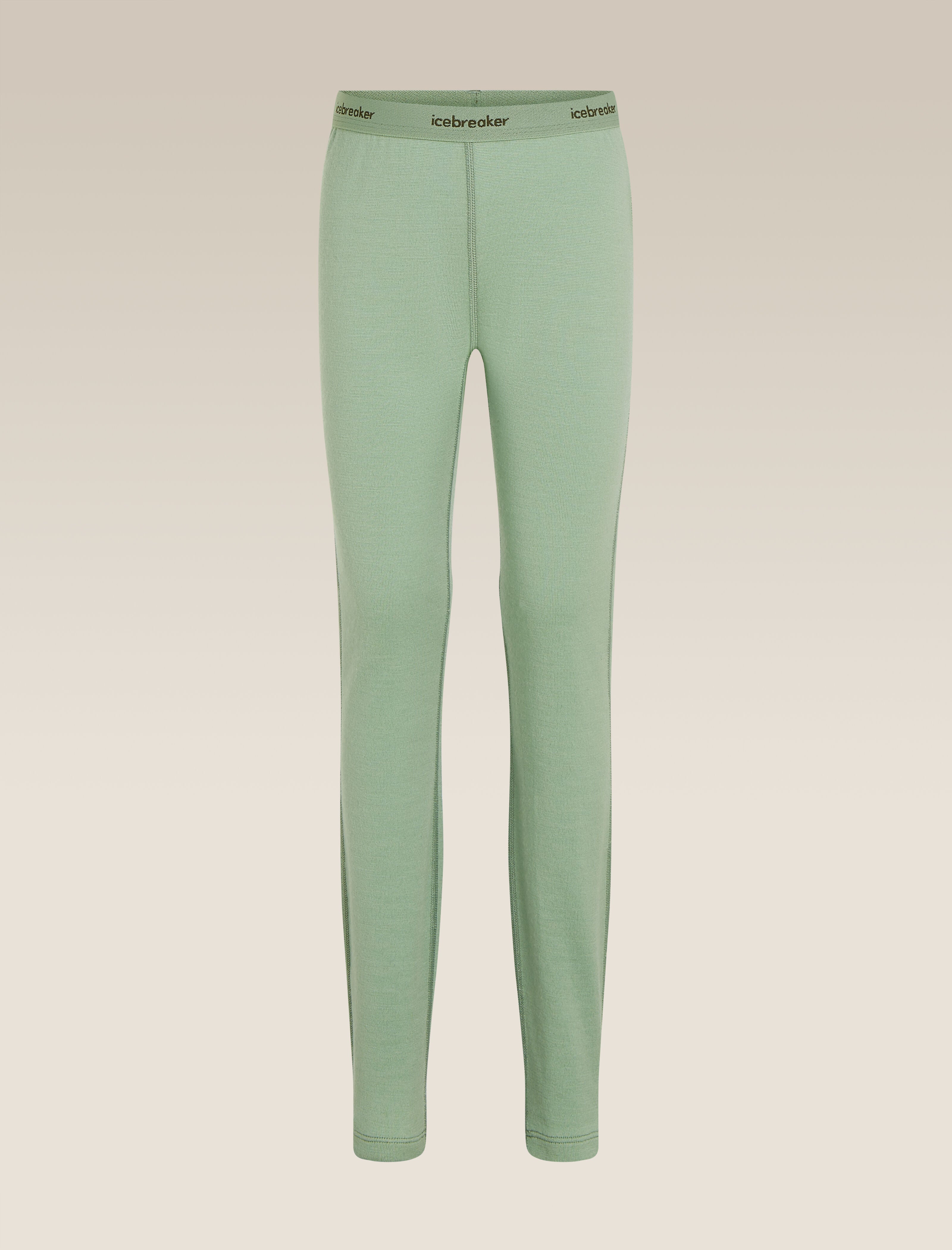 新品icebreaker 260 Tech Leggings WS BRE044_1.jpg