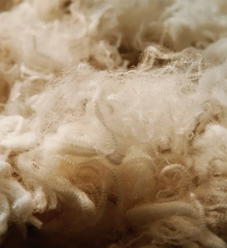 100% Merino